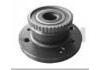 Wheel Hub Bearing:VKBA3466