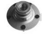 Wheel Hub Bearing:VKBA3589