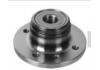 Wheel Hub Bearing:BTH1209