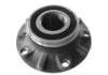 комплекс ступичного подшипника Wheel Hub Bearing:513171