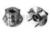 комплекс ступичного подшипника Wheel Hub Bearing:42410-32100