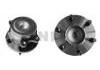 комплекс ступичного подшипника Wheel Hub Bearing:40202-EB71A