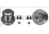 комплекс ступичного подшипника Wheel Hub Bearing:vkba6699