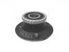 Wheel Hub Bearing:TGB12095S42